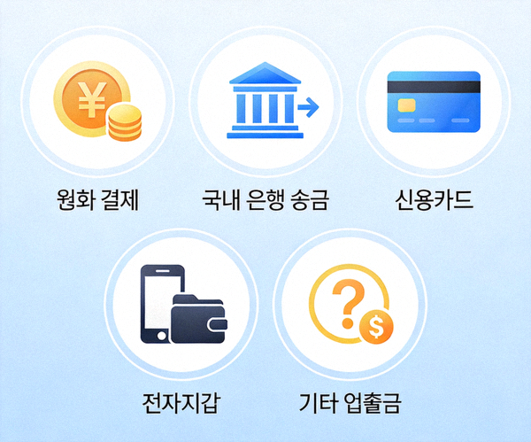 원화 결제, 국내 은행 송금, 신용카드, 전자지갑 로고 등 다양한 입출금 옵션을 아이콘으로 나열한 이미지